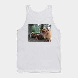 Scottish Highland Cattle Calves 1519 Tank Top